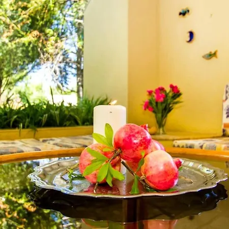 Villa A Slice Of Heaven On Earth - Ariadni At Sani *